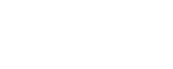 PYBOSSA white logo